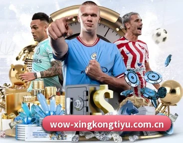 星空体育官方 APP(xingkong)